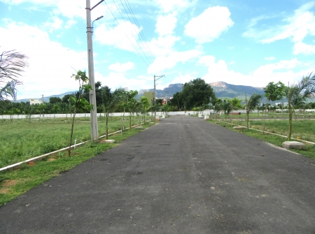 1) Li Id 232 - Tar Roads With Electric Poles and Lights.JPG